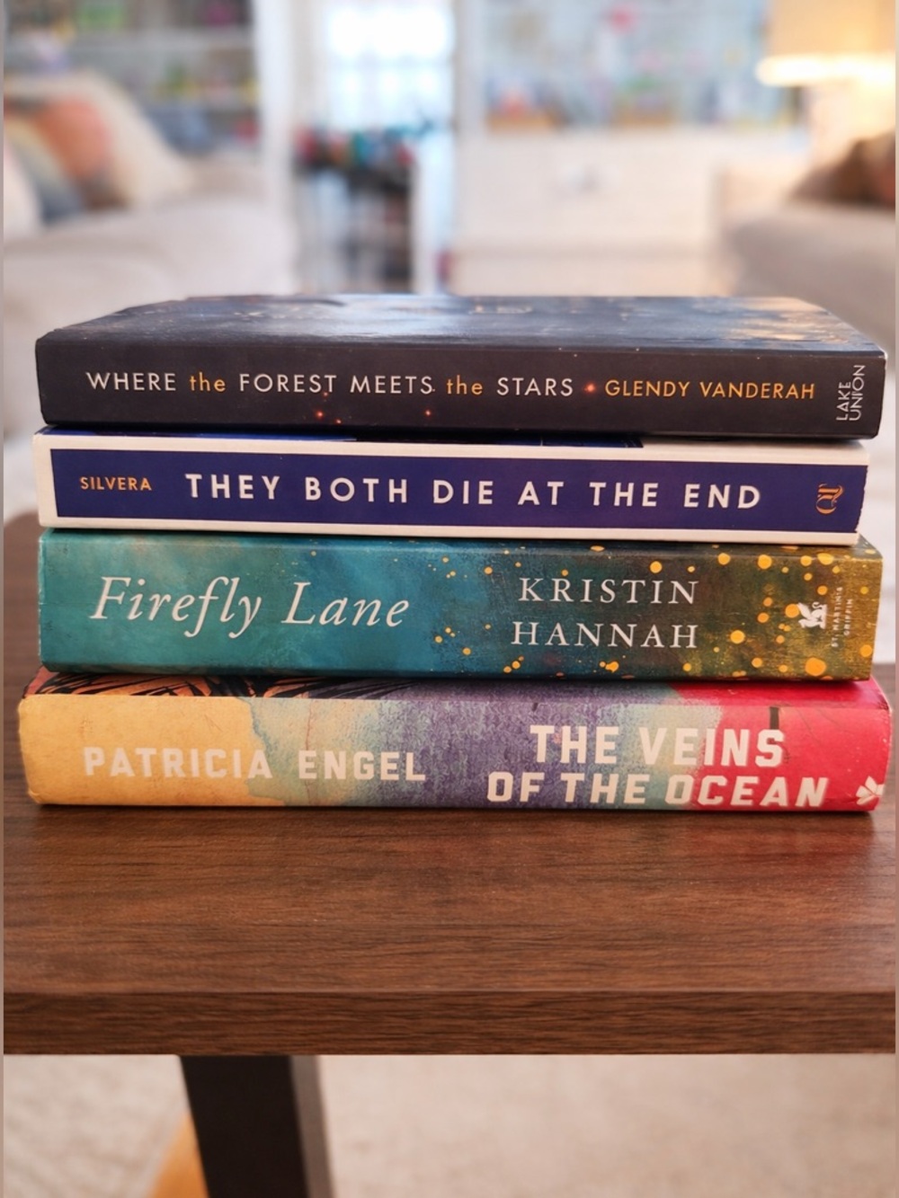 Book Bundle (4 Novels) – Kristin Hannah, Adam Silvera & More 📚✨
